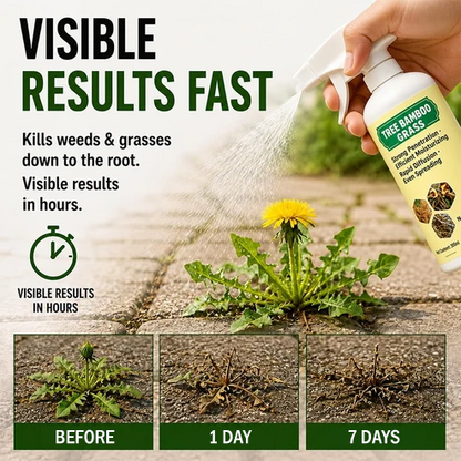✨✨2026 SALE - Fast-Acting Natural Weed & Grass Killer Spray