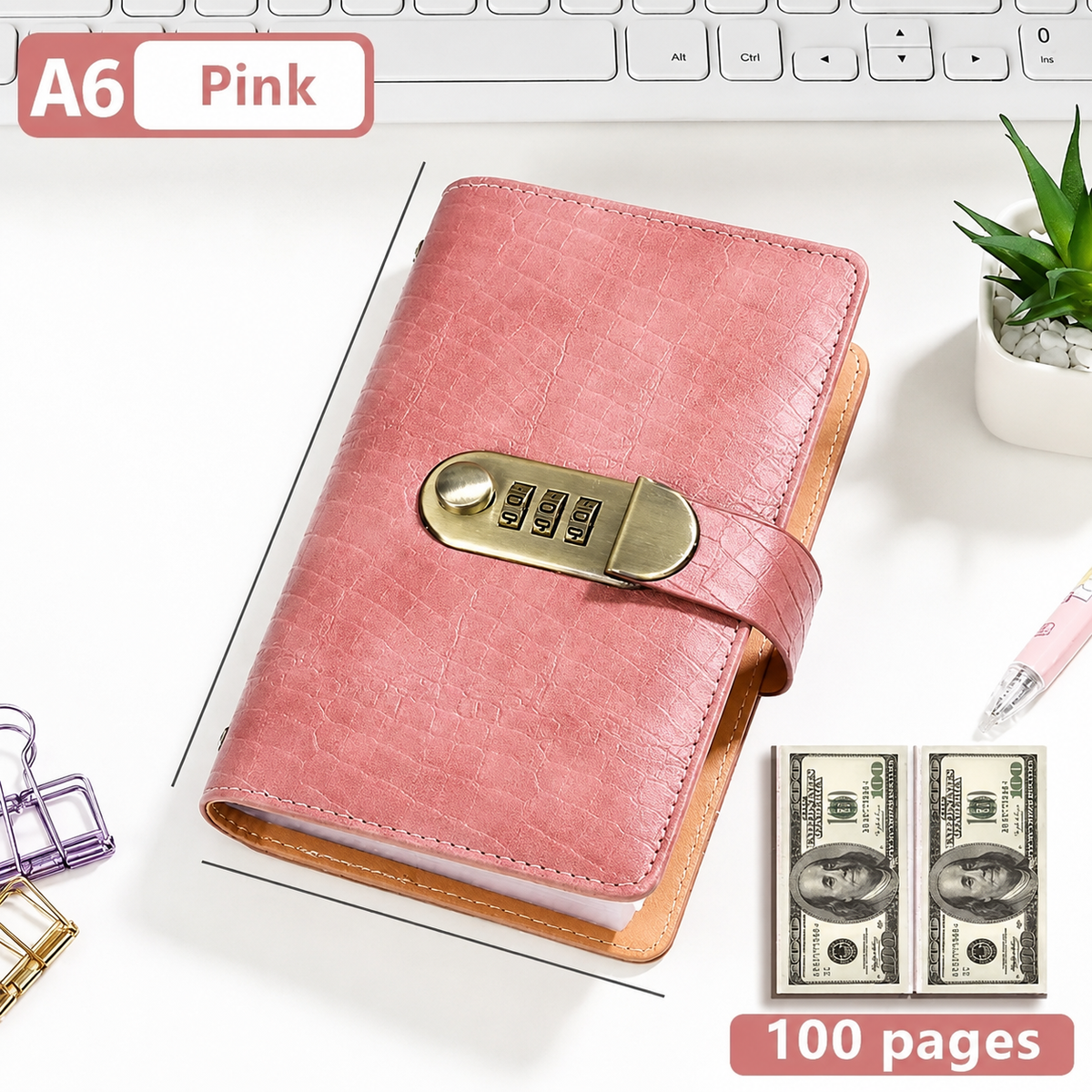 🧧🧧100 Transparent Pocket Currency Collectors Album