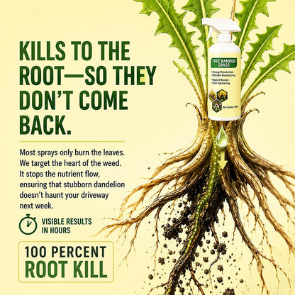 ✨✨2026 SALE - Fast-Acting Natural Weed & Grass Killer Spray